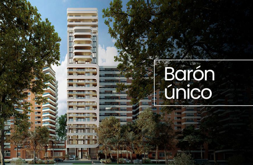 Proyecto Barón Único